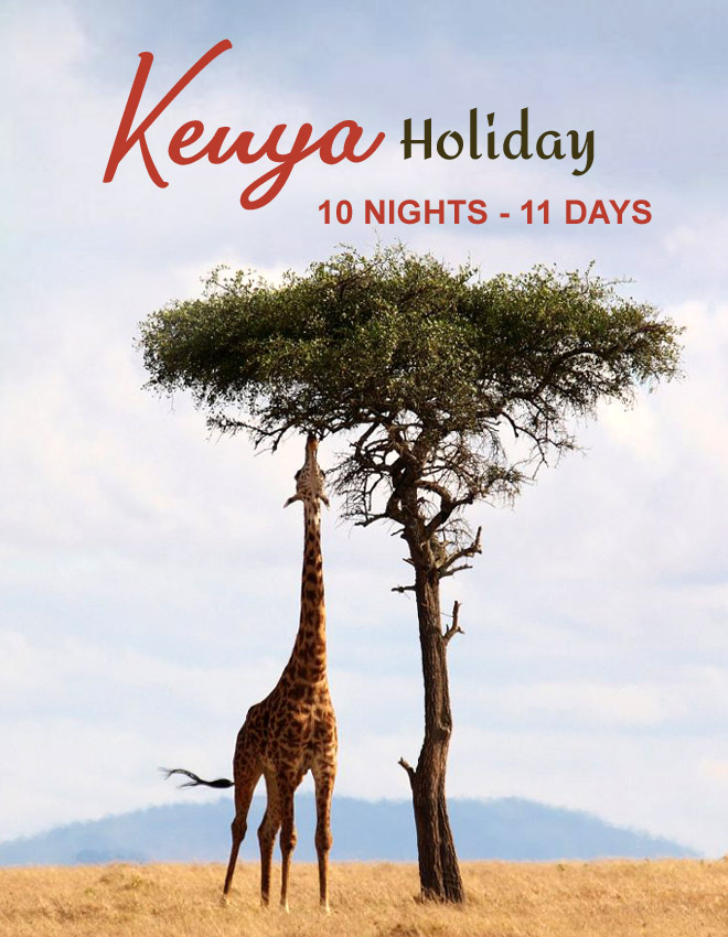 Kenya Tour Offer